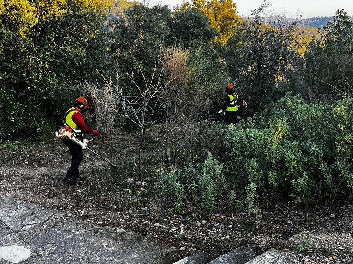 Franges de protecció contra incendis forestals a les urbanitzacions i nucli urbà